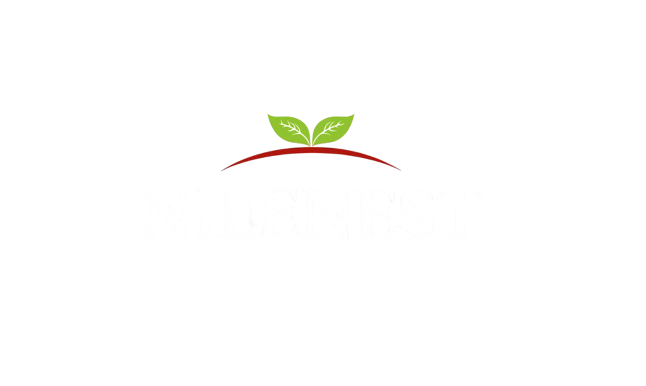 NileNest Logo